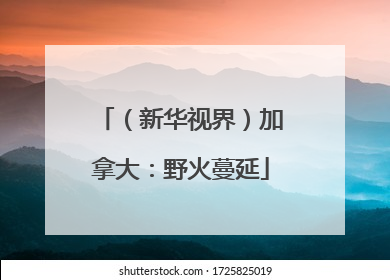 （新华视界）加拿大：野火蔓延