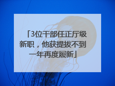 3位干部任正厅级新职，他获提拔不到一年再度履新