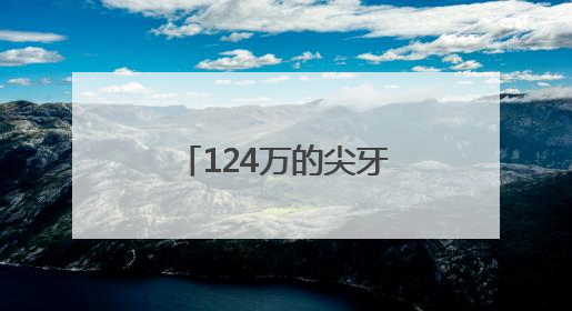 124万的尖牙玩偶 咬痛了谁的消费尊严？