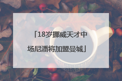 18岁挪威天才中场尼潘将加盟曼城