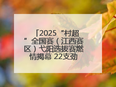 2025“村超”全国赛（江西赛区）弋阳选拔赛燃情揭幕 22支劲旅绿茵逐梦