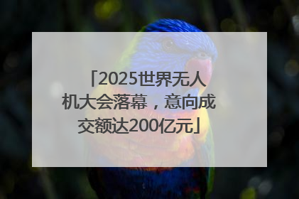 2025世界无人机大会落幕，意向成交额达200亿元