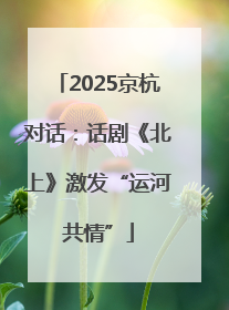 2025京杭对话：话剧《北上》激发“运河共情”