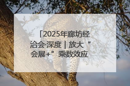 2025年廊坊经洽会·深度｜放大“会展+”乘数效应 打造消费新场景