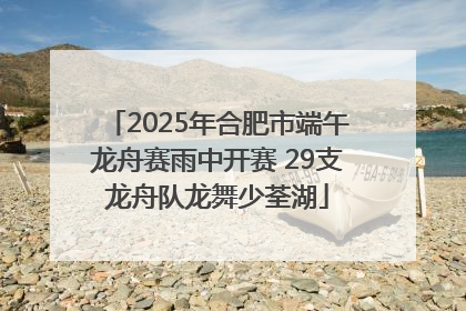 2025年合肥市端午龙舟赛雨中开赛 29支龙舟队龙舞少荃湖
