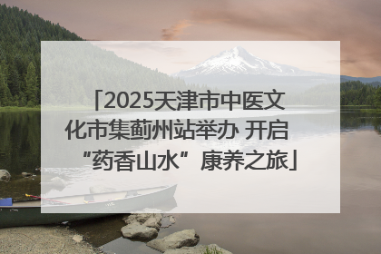 2025天津市中医文化市集蓟州站举办 开启“药香山水”康养之旅