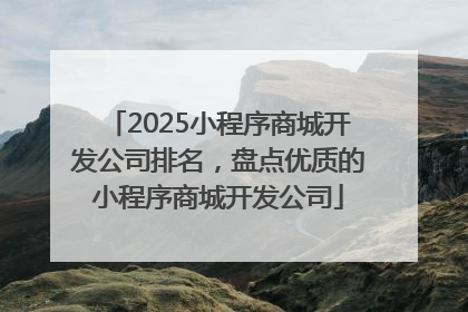 2025小程序商城开发公司排名，盘点优质的小程序商城开发公司