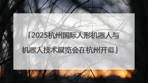 2025杭州国际人形机器人与机器人技术展览会在杭州开幕