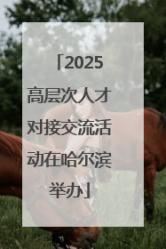 2025高层次人才对接交流活动在哈尔滨举办