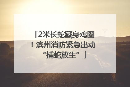 2米长蛇藏身鸡圈！滨州消防紧急出动“捕蛇放生”