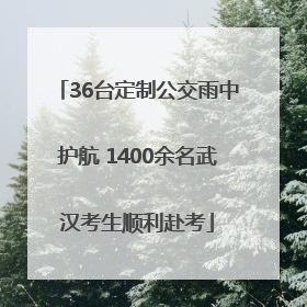 36台定制公交雨中护航 1400余名武汉考生顺利赴考