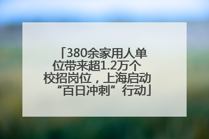 380余家用人单位带来超1.2万个校招岗位，上海启动“百日冲刺”行动