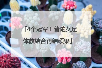 4个冠军！普陀女足体教结合再结硕果