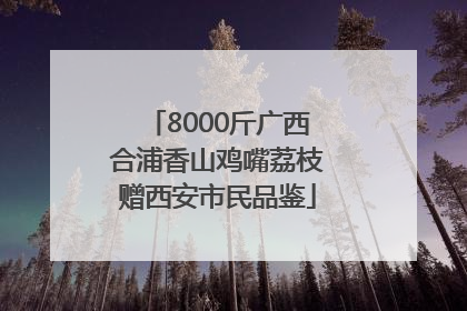 8000斤广西合浦香山鸡嘴荔枝赠西安市民品鉴
