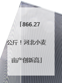 866.27公斤!河北小麦亩产创新高