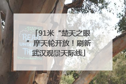 91米“楚天之眼”摩天轮开放！刷新武汉观景天际线