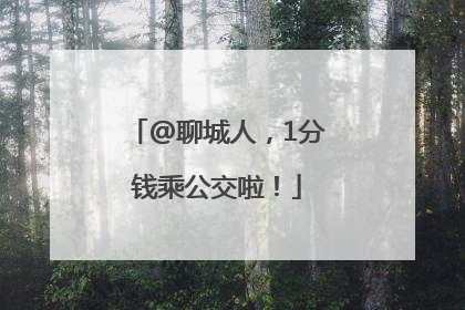 @聊城人，1分钱乘公交啦！