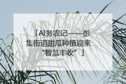 AI务农记——彭集街道甜瓜种植迎来“智慧丰收”