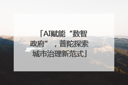AI赋能“数智政府”，普陀探索城市治理新范式