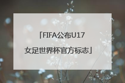 FIFA公布U17女足世界杯官方标志