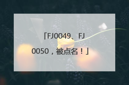 FJ0049、FJ0050，被点名！