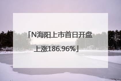 N海阳上市首日开盘上涨186.96%